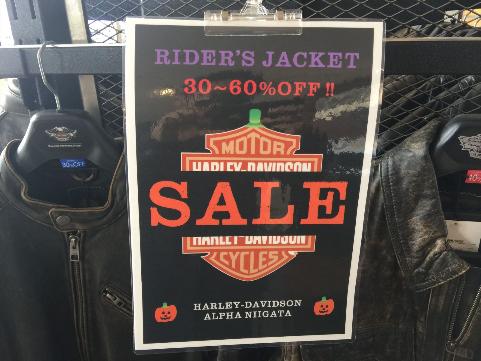 SALE開催中!!HD純正レザージャケット最大60％OFF!!│アルファ：ALPHA