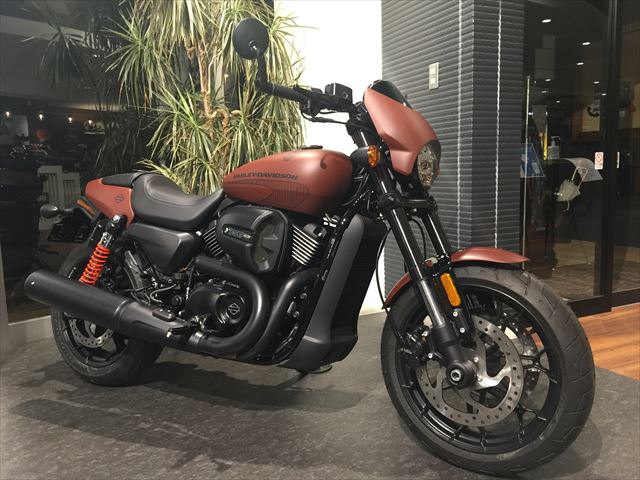 STREET免許サポートキャンペーン開始!!│アルファ：ALPHA Big Bike