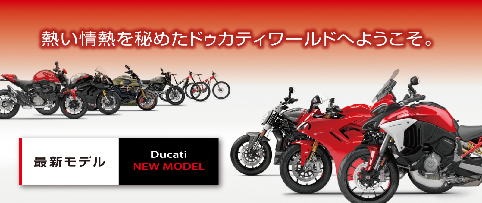 DUCATI NIIGATA | アルファ：ALPHA Big Bike Mall on Web