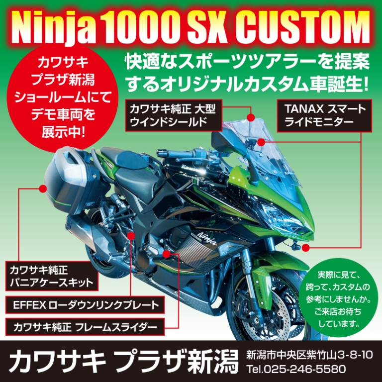 青 Amazon | LEDメーター球 2個セット プロジェクター 青 スーパー