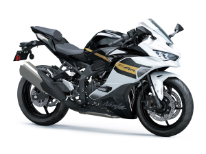落葉さま専用 Amazon | AL-mart バイク用 ミラーホールカバー ミラー ブロック