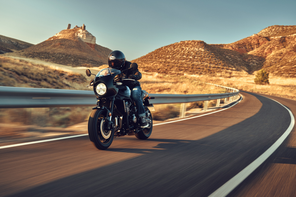 (shopsクーポン配布中)MTG 島 アルファ　サインド shopsクーポン配布中)MTG 島 アルファ サインド shopsクーポン配布中